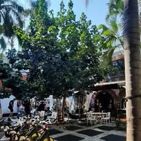 Patio al aire libre GHGYM