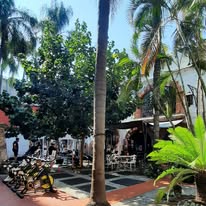 Patio y árboles GHGYM